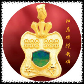 神盾牌斑彩