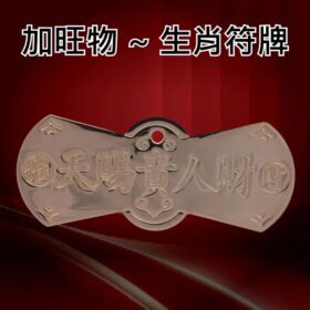 虎豬生肖符牌一个 A2542