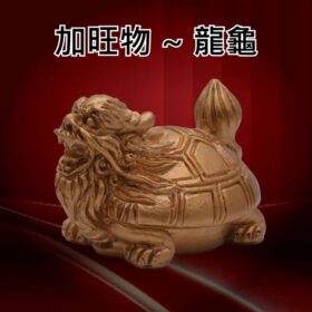 生肖加旺物-龍龜一對 A2548